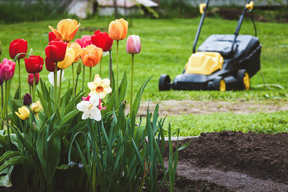 things to buy for the garden - lawn mower