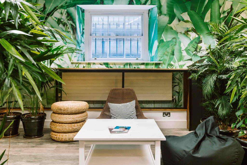 24 Pearse Street - Dublin flexible office space -Zen Garden-min