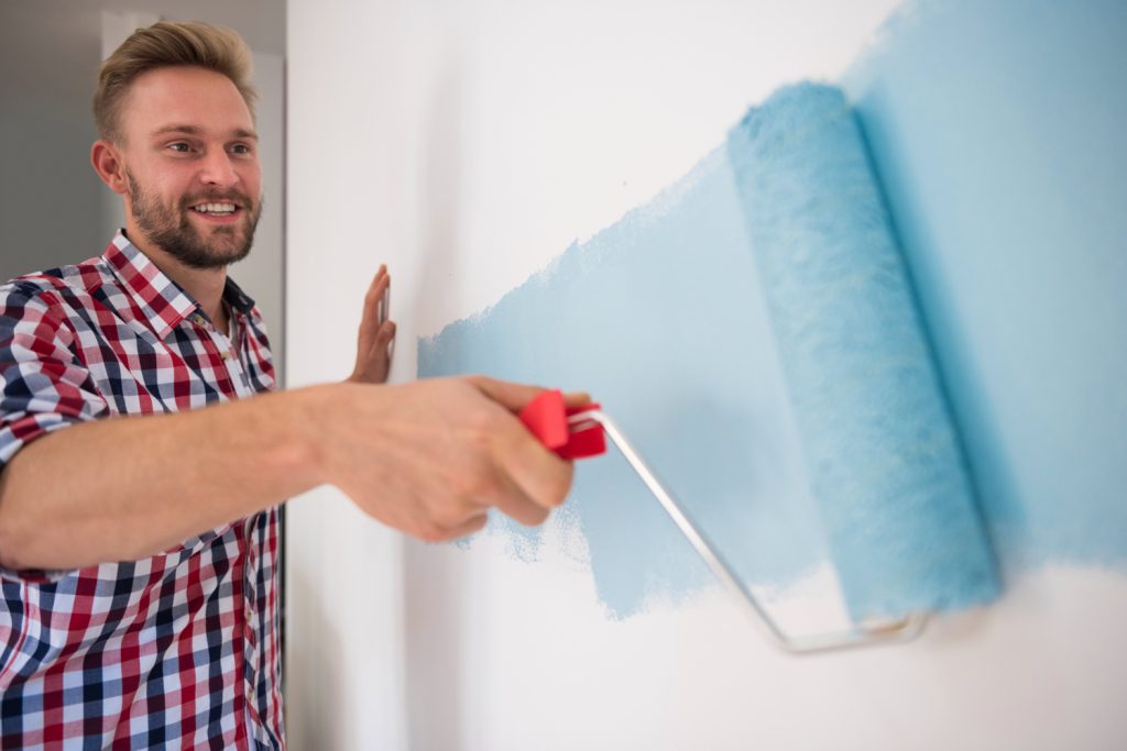paint roller for home DIY