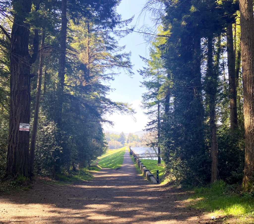 Top 5 things to do in Roundwood, Co. Wicklow
