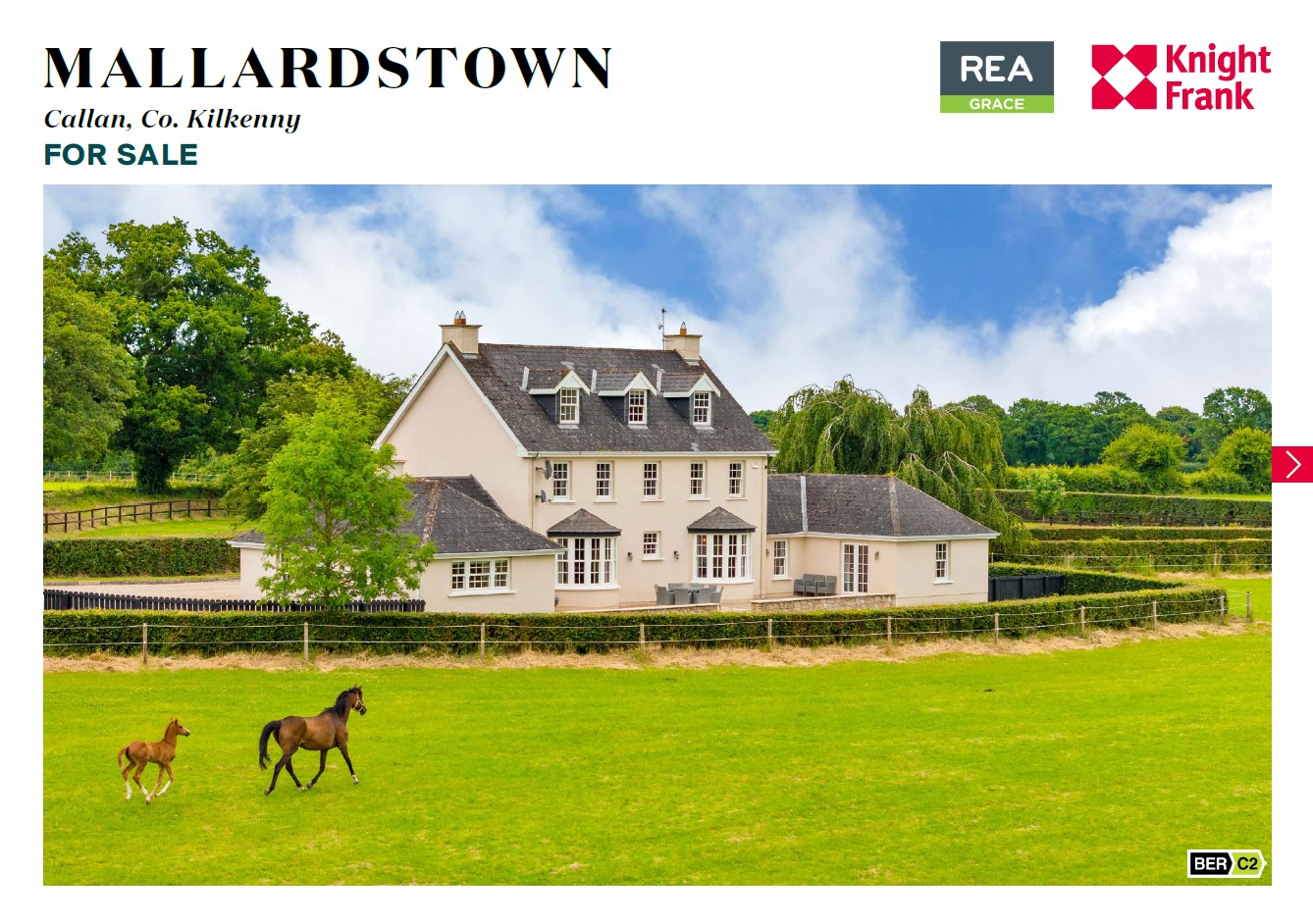 Mallardstown, Callan, Co. Kilkenny