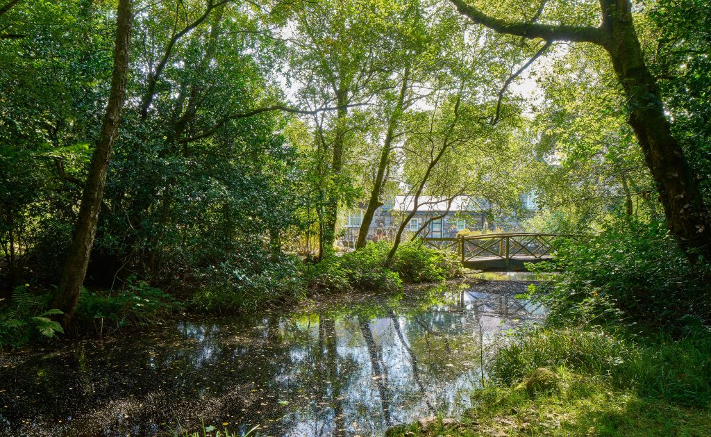 Sternes Mill, Annamoe, Roundwood, Co. Wicklow